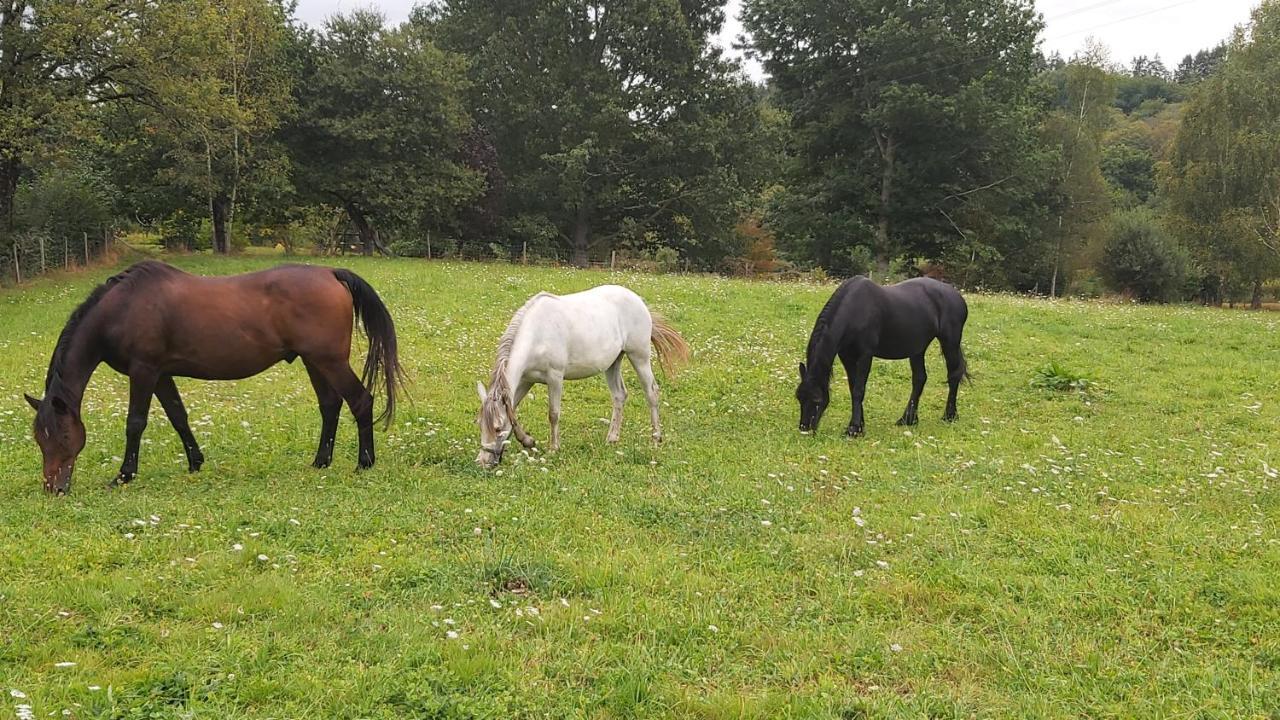 Gite Dorcadie Saint-Yrieix-la-Perche Buitenkant foto